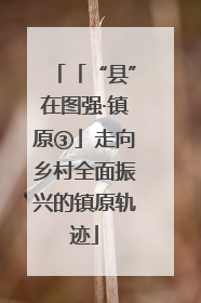 「“县”在图强·镇原③」走向乡村全面振兴的镇原轨迹