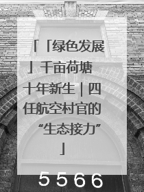 「绿色发展」千亩荷塘 十年新生｜四任航空村官的“生态接力”
