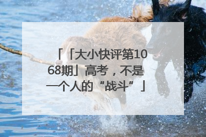 「大小快评第1068期」高考，不是一个人的“战斗”