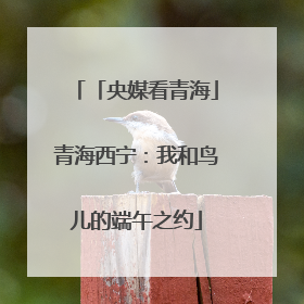 「央媒看青海」青海西宁：我和鸟儿的端午之约