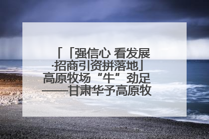 「强信心 看发展·招商引资拼落地」高原牧场“牛”劲足——甘肃华予高原牧场高标准奶牛肉牛养殖项目一线见闻