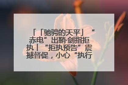 「驰骋的天平」“赤电”出鞘·剑指拒执︱“拒执预告”震撼督促，小心“执行”变“执刑”