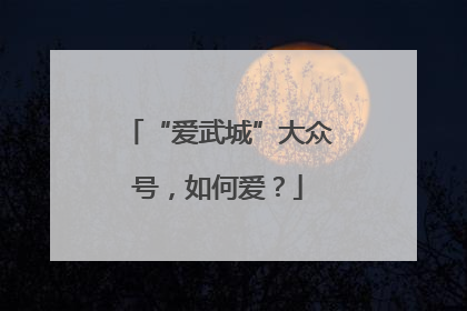 “爱武城”大众号，如何爱？