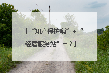 “知产保护哨”+“经盾服务站”=？