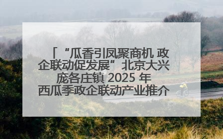 “瓜香引凤聚商机 政企联动促发展”北京大兴庞各庄镇 2025 年西瓜季政企联动产业推介活动圆满举行