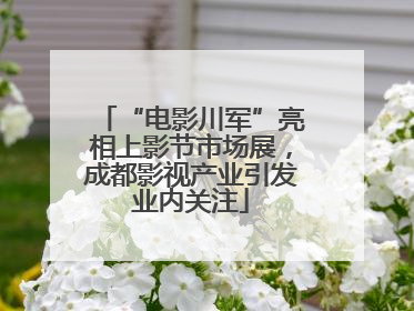 “电影川军”亮相上影节市场展，成都影视产业引发业内关注
