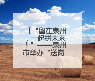 “留在泉州，一起拼未来！”——泉州市举办“送岗留才”活动