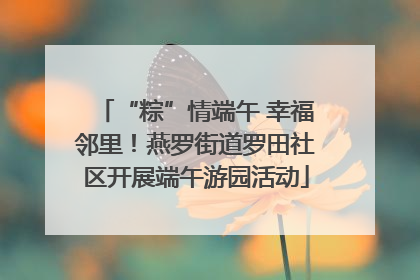 “粽”情端午 幸福邻里！燕罗街道罗田社区开展端午游园活动