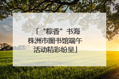“粽香”书海 株洲市图书馆端午活动精彩纷呈