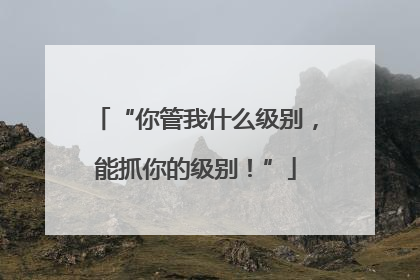 “你管我什么级别，能抓你的级别！”