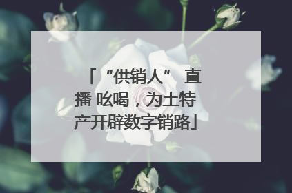 “供销人” 直播 吆喝，为土特产开辟数字销路