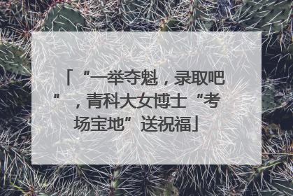 “一举夺魁，录取吧”，青科大女博士“考场宝地”送祝福