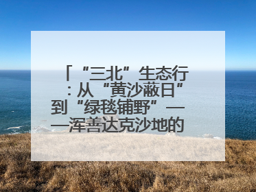 “三北”生态行：从“黄沙蔽日”到“绿毯铺野”——浑善达克沙地的“绿色重生”