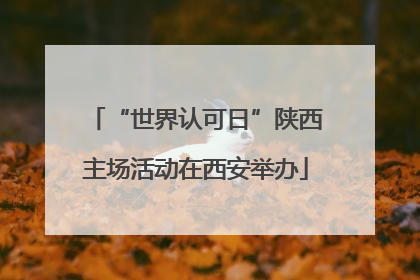 “世界认可日”陕西主场活动在西安举办