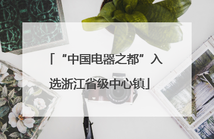 “中国电器之都”入选浙江省级中心镇