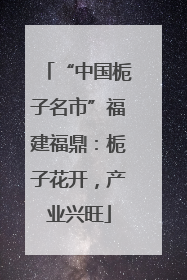 “中国栀子名市”福建福鼎：栀子花开，产业兴旺