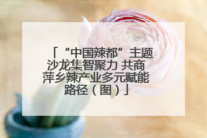 “中国辣都”主题沙龙集智聚力 共商萍乡辣产业多元赋能路径（图）