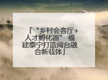 “乡村会客厅+人才孵化器” 福建泰宁打造闽台融合新载体