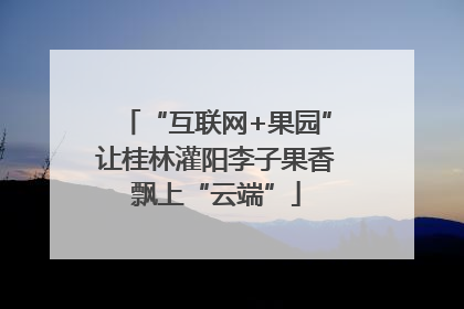 “互联网+果园”让桂林灌阳李子果香飘上“云端”