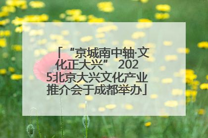 “京城南中轴·文化正大兴” 2025北京大兴文化产业推介会于成都举办