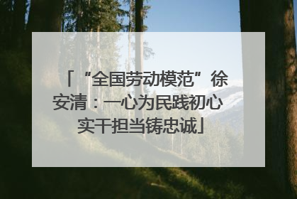 “全国劳动模范”徐安清：一心为民践初心 实干担当铸忠诚