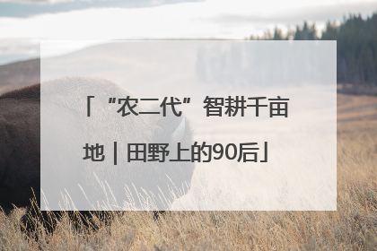 “农二代”智耕千亩地｜田野上的90后