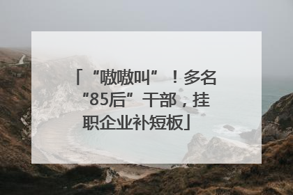 “嗷嗷叫”！多名“85后”干部，挂职企业补短板