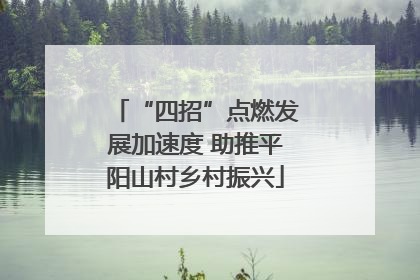 “四招”点燃发展加速度 助推平阳山村乡村振兴