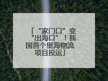 “家门口”变“出海口”！我国首个里海物流项目投运