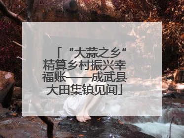 “大蒜之乡”精算乡村振兴幸福账——成武县大田集镇见闻