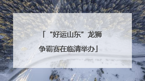 “好运山东”龙狮争霸赛在临清举办