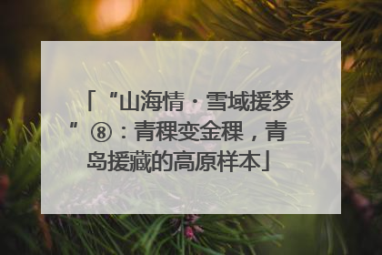 “山海情・雪域援梦”⑧：青稞变金稞，青岛援藏的高原样本