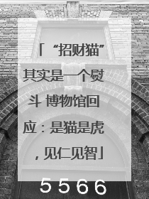 “招财猫”其实是一个熨斗 博物馆回应：是猫是虎，见仁见智