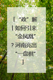 “政”解丨如何引来“金凤凰”？河南亮出“一盘棋”