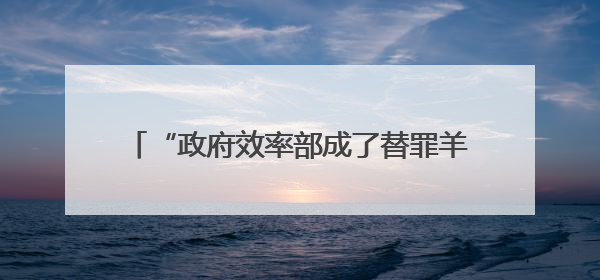 “政府效率部成了替罪羊” 马斯克：工作重点从裁员转向政府电脑系统