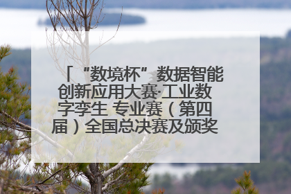 “数境杯”数据智能创新应用大赛·工业数字孪生 专业赛（第四届）全国总决赛及颁奖典礼成功举办