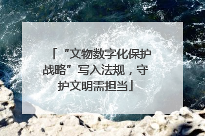 “文物数字化保护战略”写入法规，守护文明需担当