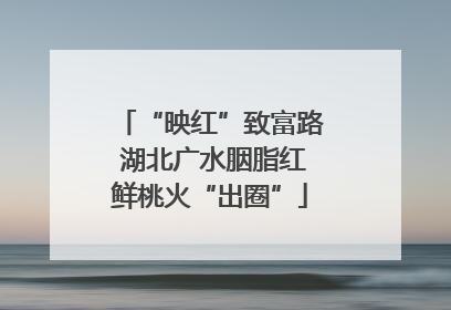 “映红”致富路 湖北广水胭脂红鲜桃火“出圈”