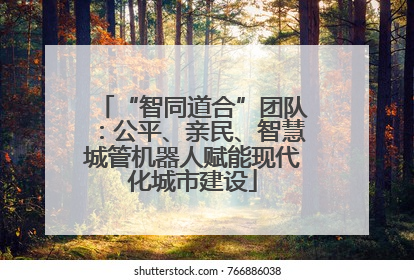 “智同道合”团队：公平、亲民、智慧城管机器人赋能现代化城市建设