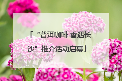 “普洱咖啡 香遇长沙”推介活动启幕