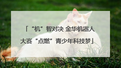 “机”智对决 金华机器人大赛“点燃”青少年科技梦