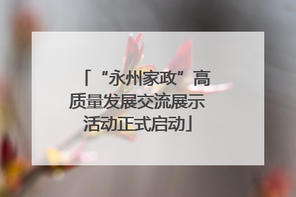 “永州家政”高质量发展交流展示活动正式启动
