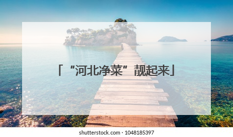 “河北净菜”靓起来