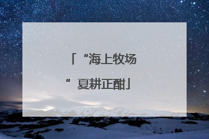 “海上牧场”夏耕正酣