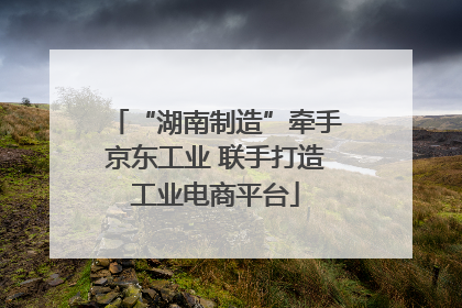 “湖南制造”牵手京东工业 联手打造工业电商平台