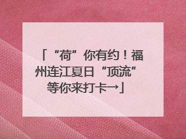 “荷”你有约！福州连江夏日“顶流”等你来打卡→
