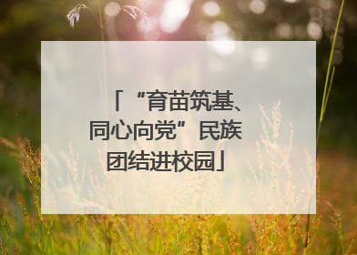 “育苗筑基、同心向党”民族团结进校园