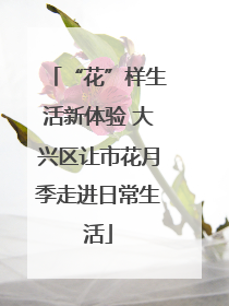 “花”样生活新体验 大兴区让市花月季走进日常生活