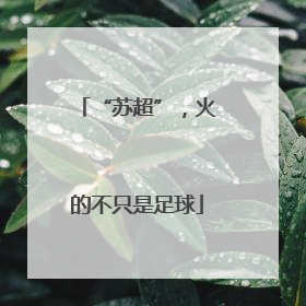 “苏超”，火的不只是足球