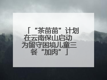“茶苗苗”计划在云南保山启动 为留守困境儿童三餐“加肉”